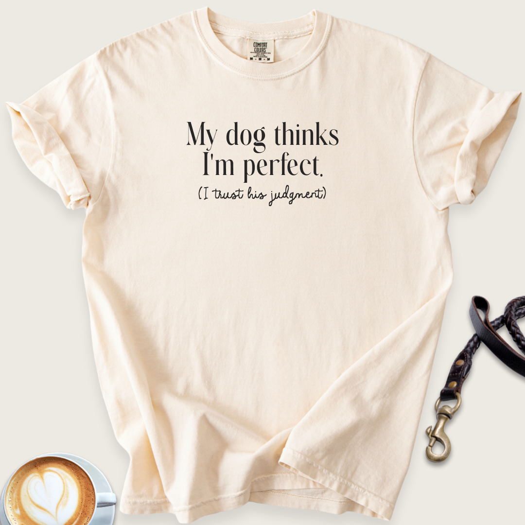 My dog thinks I'm perfect T-shirt