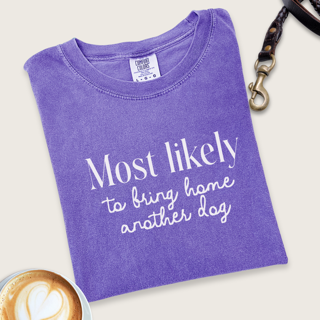 Most likely bring another dog T-shirt