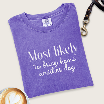 Most likely bring another dog T-shirt